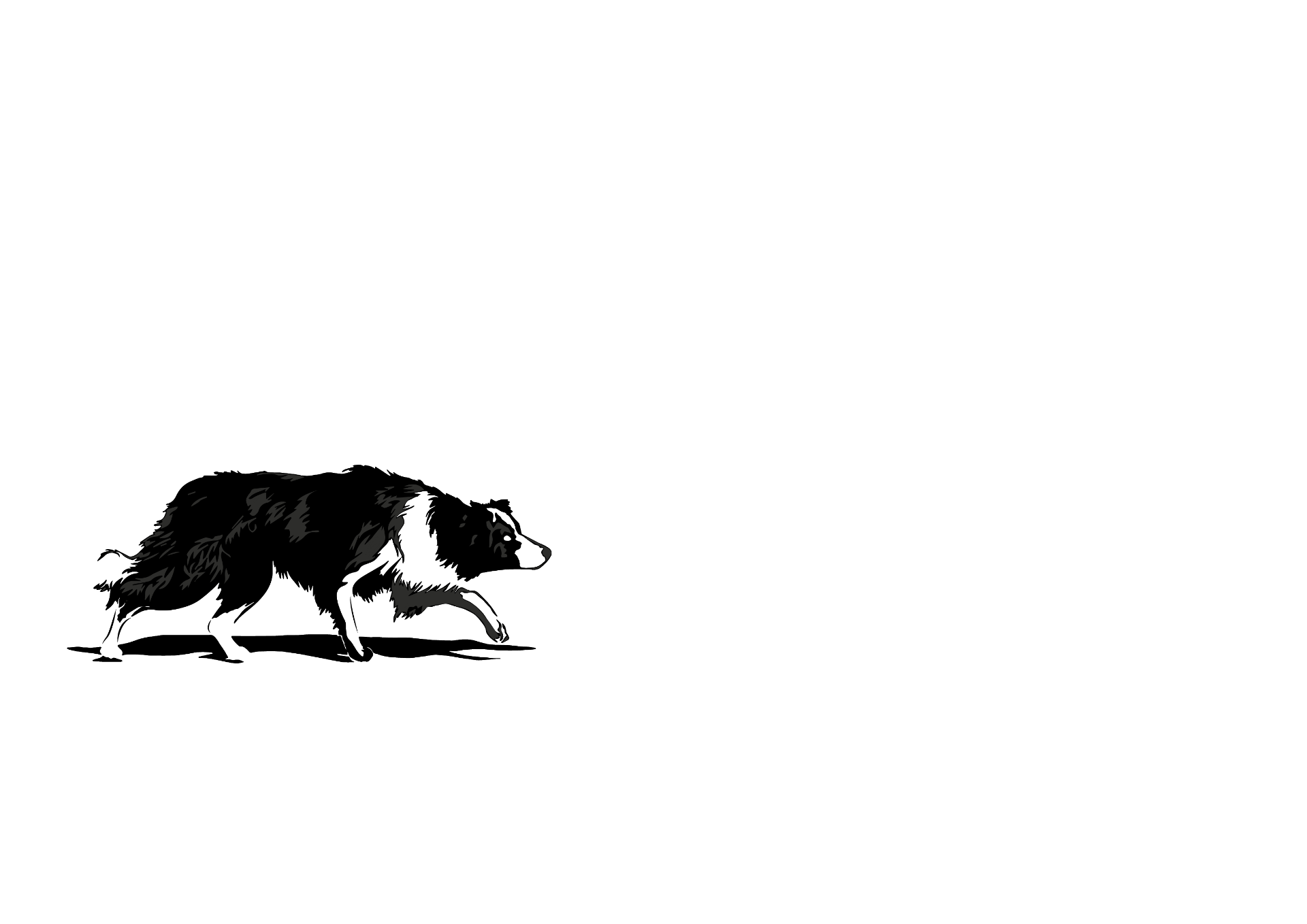 Hunter Dog Academy